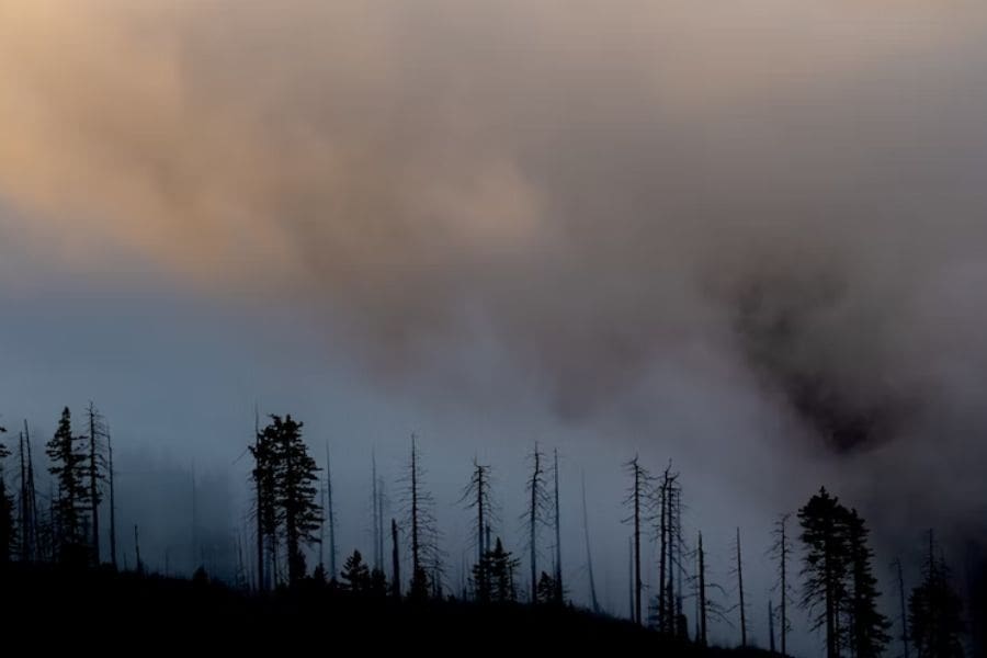 Washoe County Emergency Management Urges Residents To Prepare For A