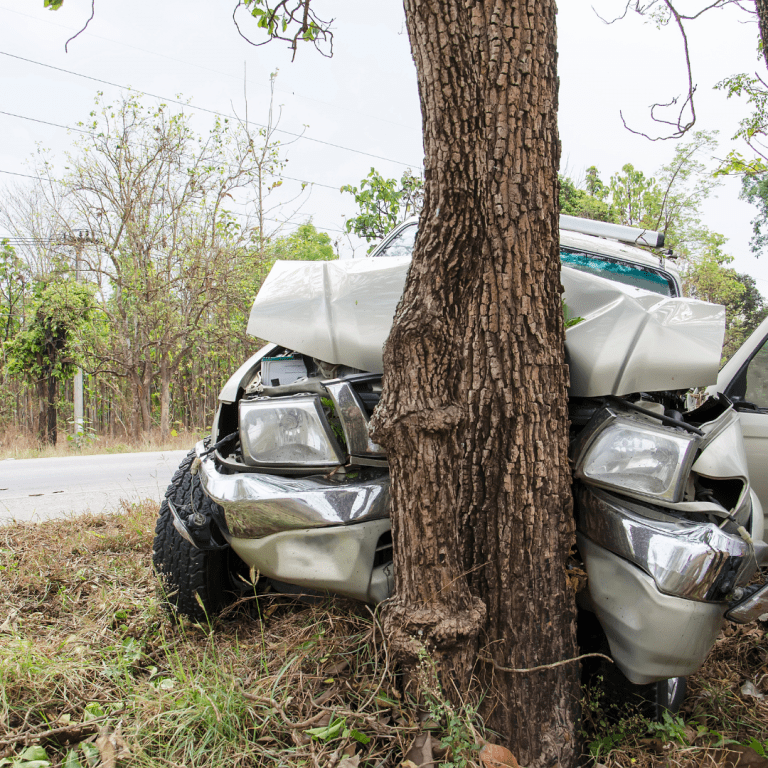 Reno Man Dies After Car He Was Traveling In Collides With Tree - Nevada ...