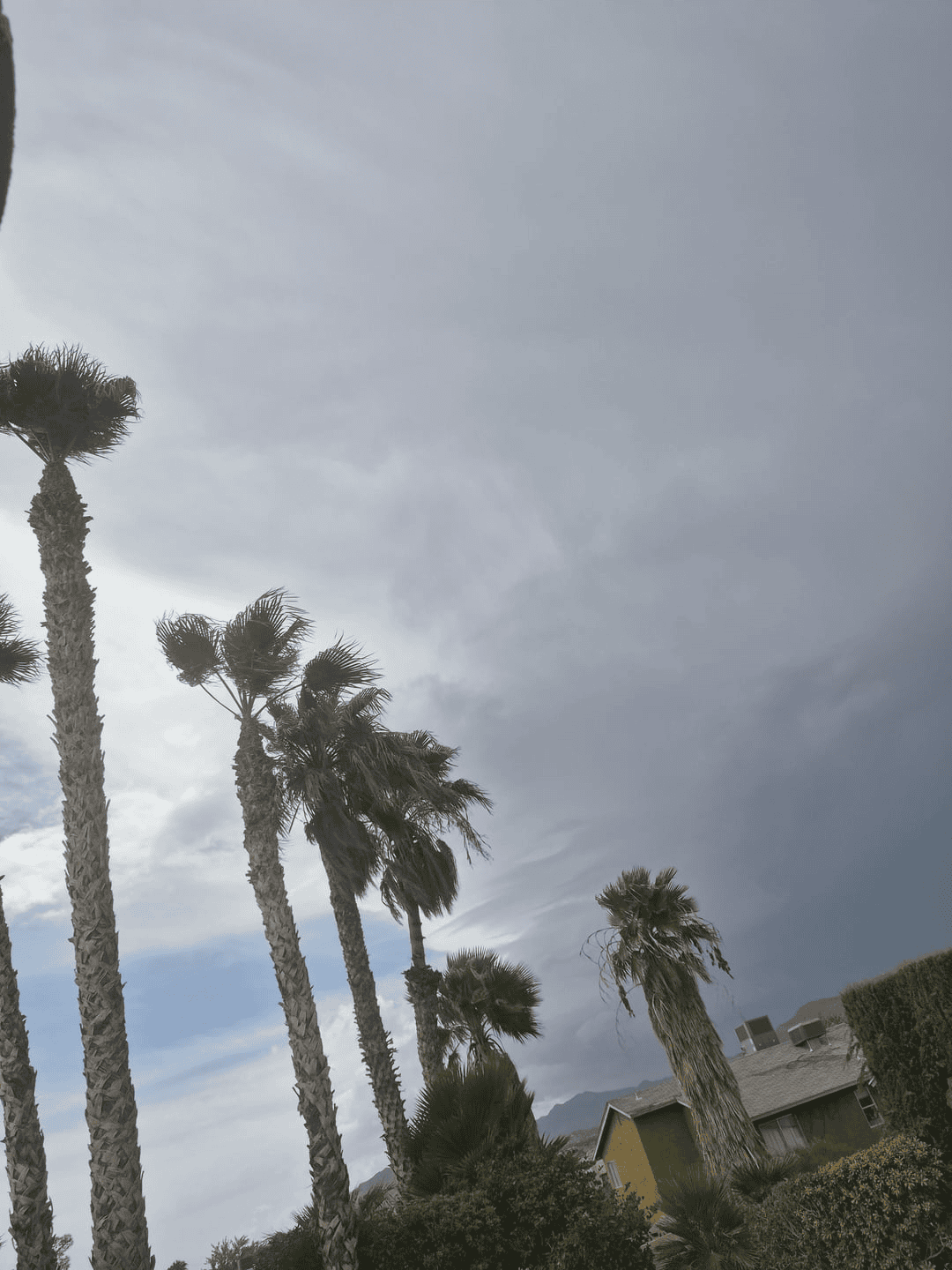 Rare Tornado Warning and Severe Flash Flooding Threaten Western Nevada Amid Devastating Wildfire Crisis